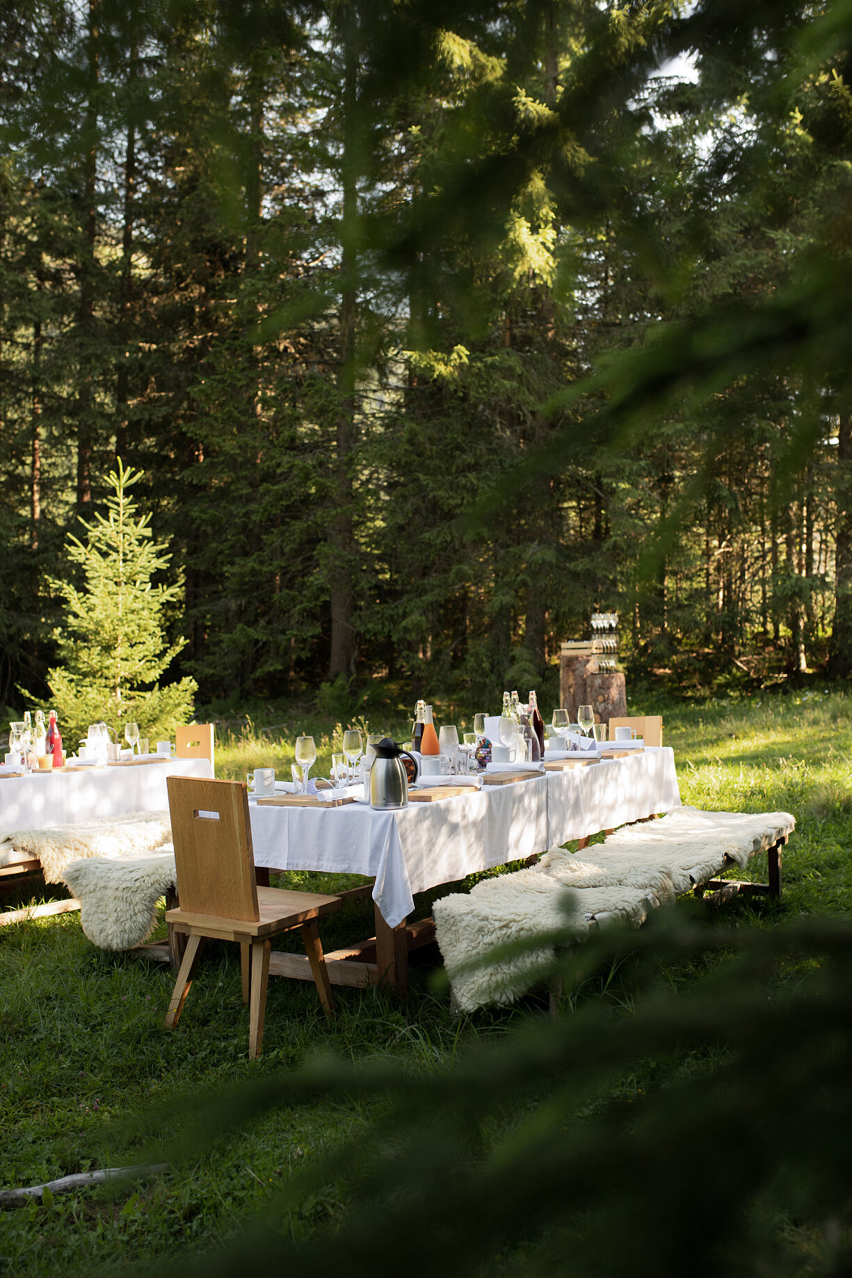 Waldbrunch Angertal (C) TVB Hofgastein, Marktl Photography (47)