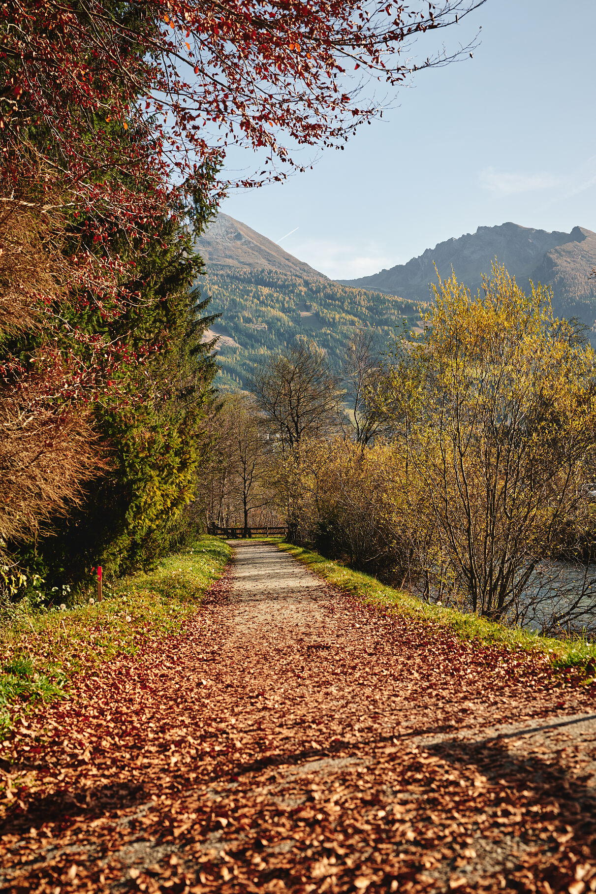 Herbst Gastein (c) Gasteinertal Tourismus GmbH, Michael Koenigshofer (42)