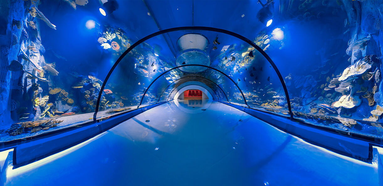 Alpentherme Aquarium (C) Alpentherme, Marktl Photography--10