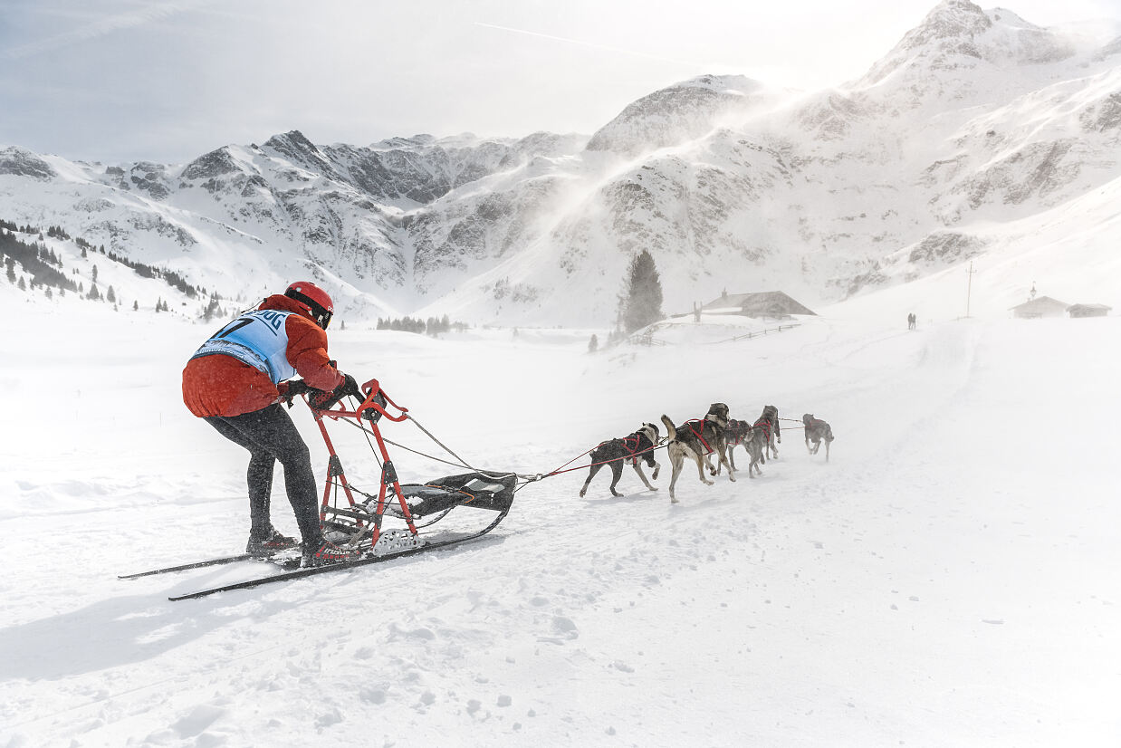 Schlittenunderennen in Sportgastein (C) Gasteinertal TourismusgmbH; Marktl Photography-2